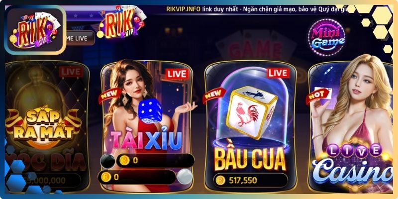 Điều Khoản Sử Dụng RikVip – Quy Định Chi Tiết Nhất 2026 2 Những điều newbie nên nhớ khi tham gia hệ thống